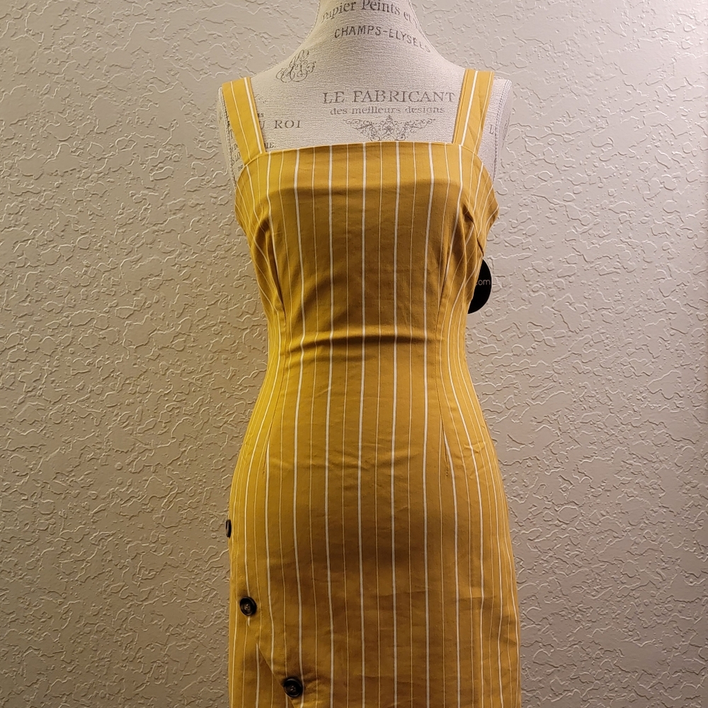NWT Dress